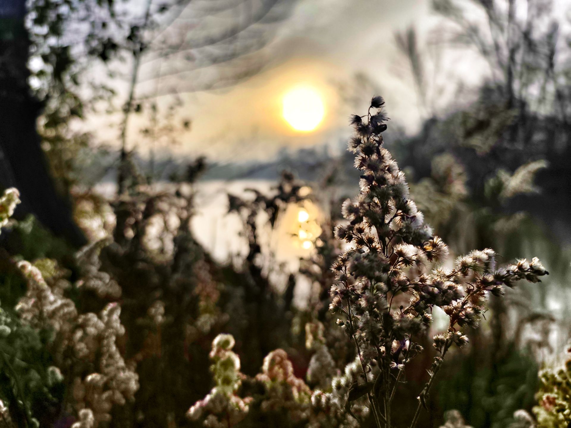 Staňte se dobrovolníkem pro udržitelný rozvoj vlastního života