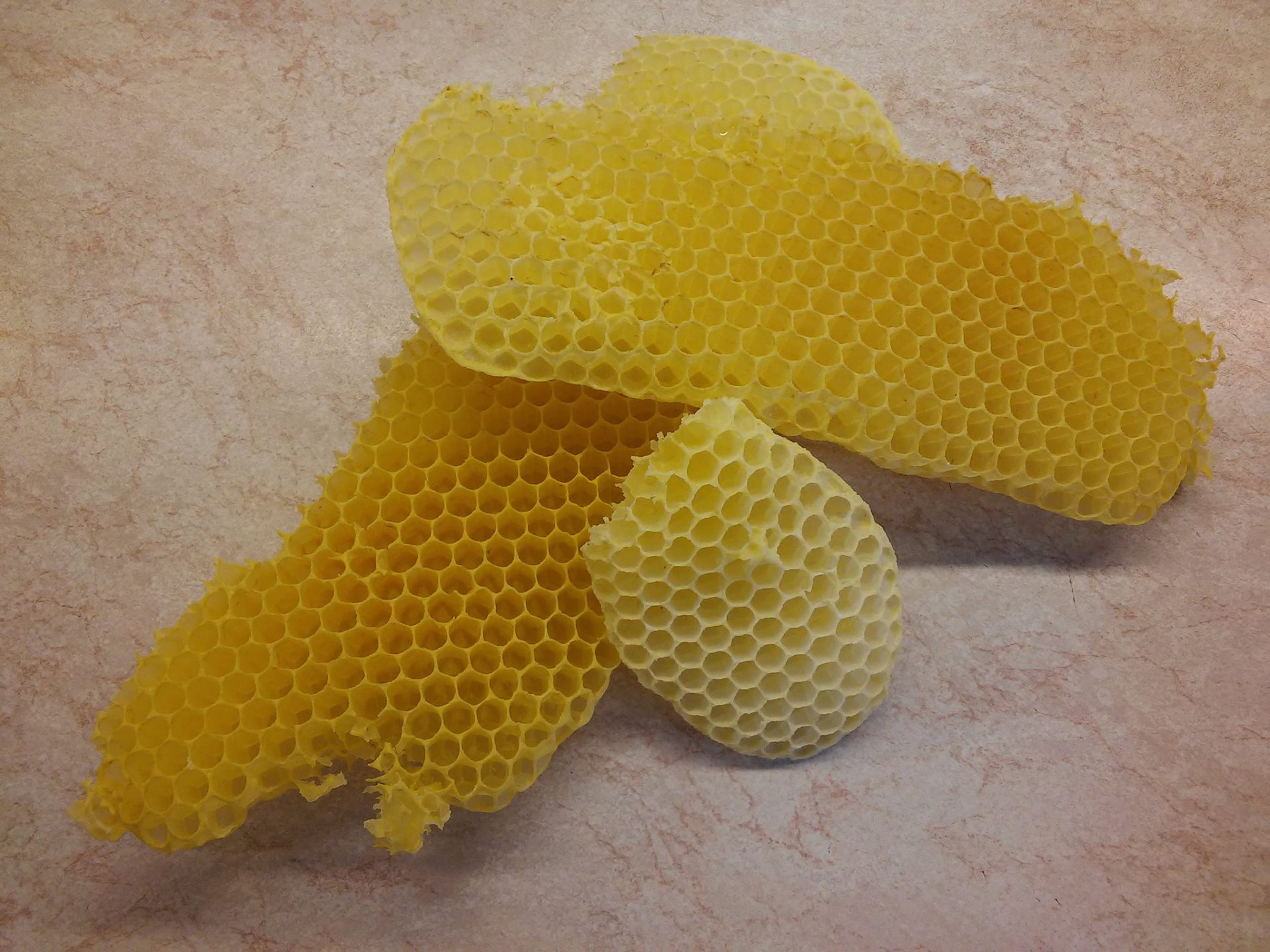 Med z Černého lesa | Kateřina Sojáková