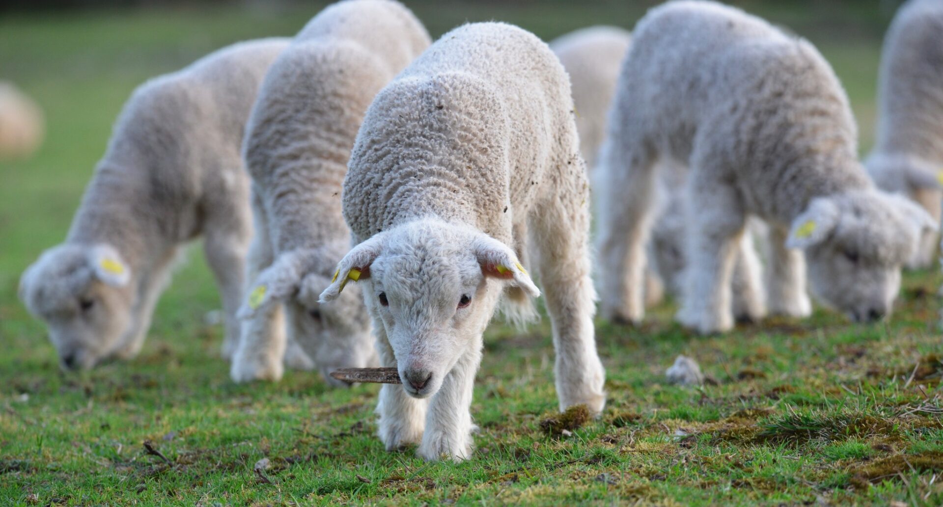 Ranč Kristýnka | Tomáš Bureš