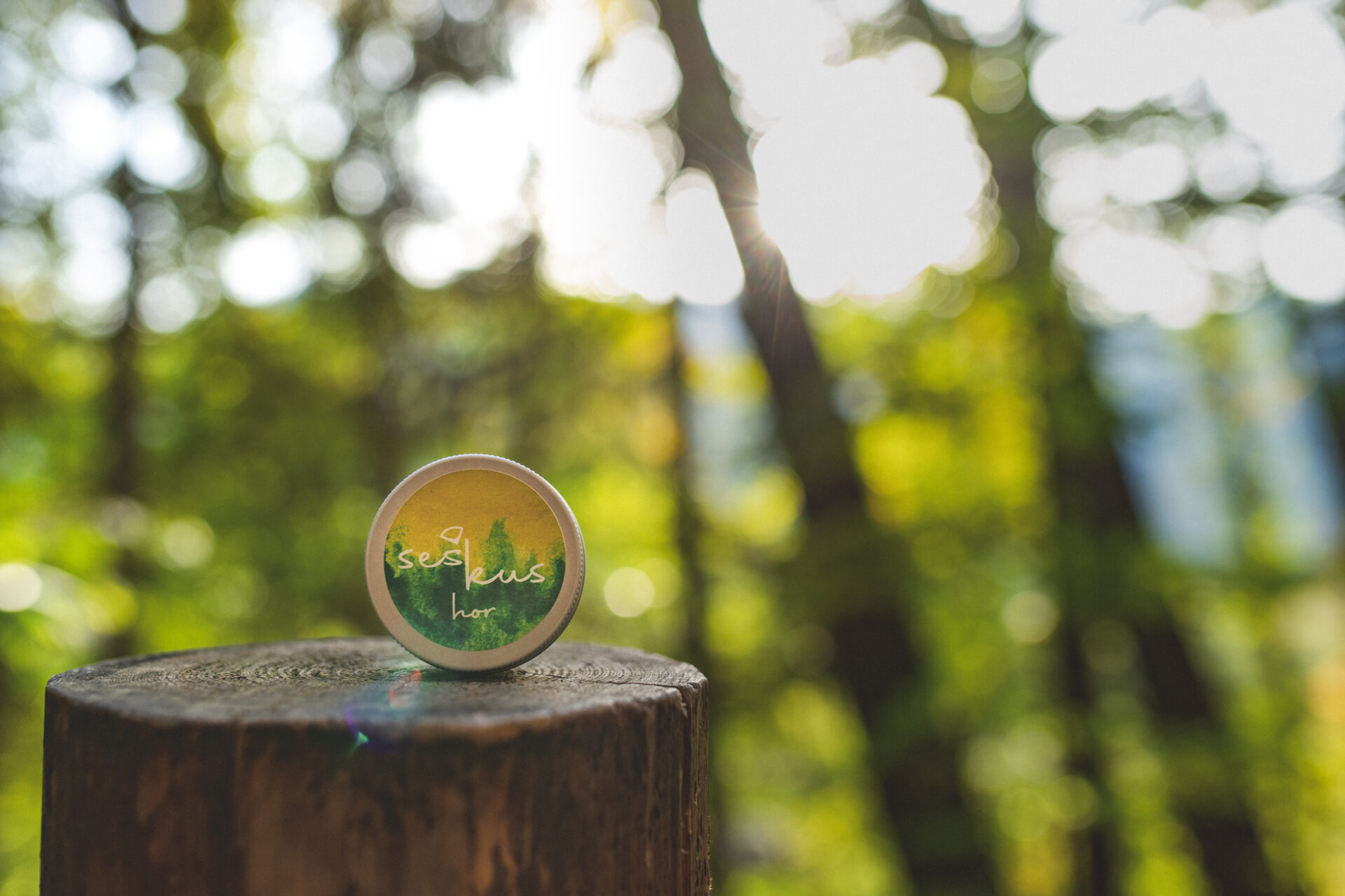 Seš kus hor | Aneta Reichmannová