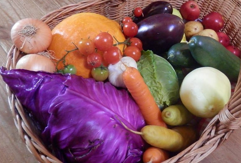 Statek U Macháčků | Petr Macháček