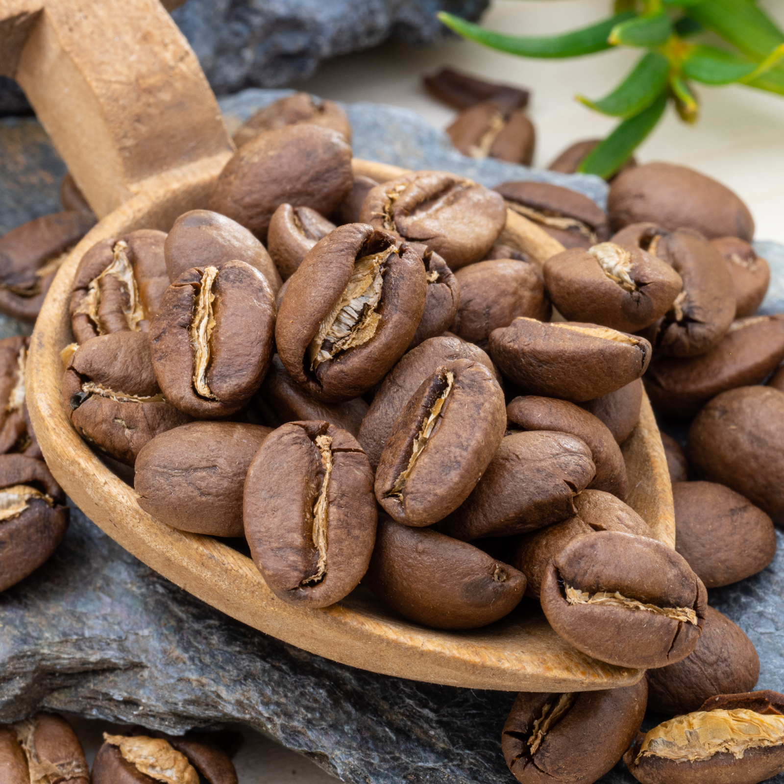 APe Pražírna a balírna s.r.o.