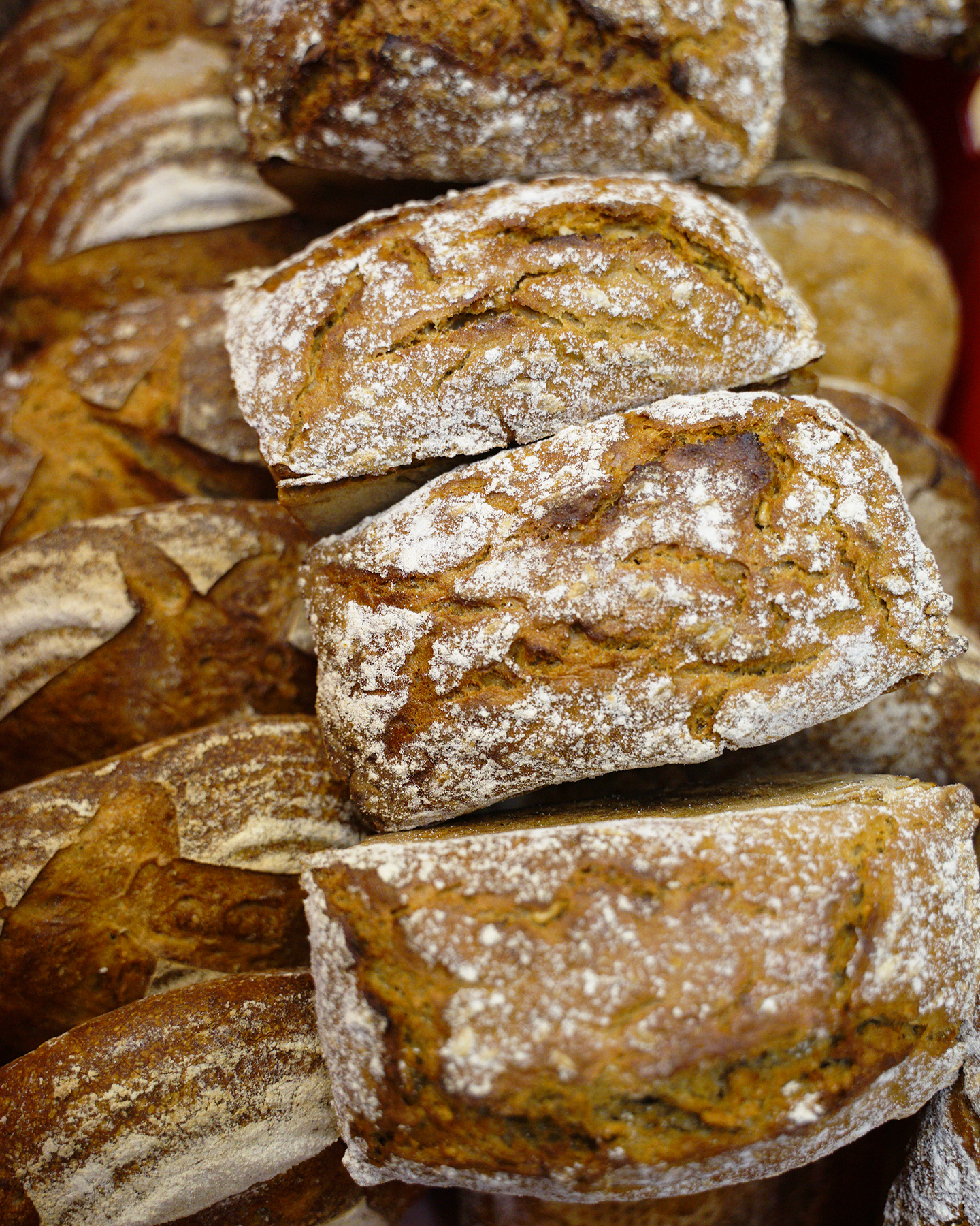 DOK Liberec | NORDBEANS