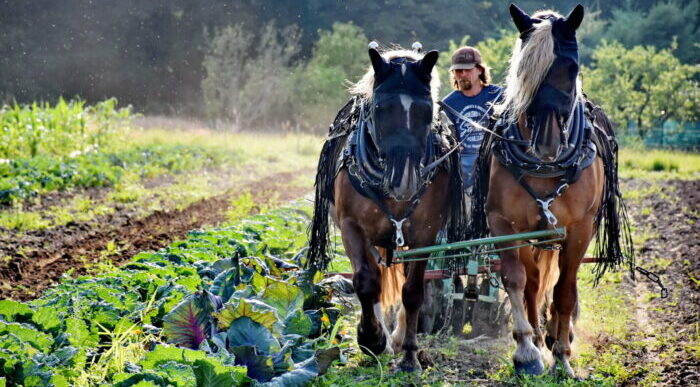 Farma Lukava, s.r.o.