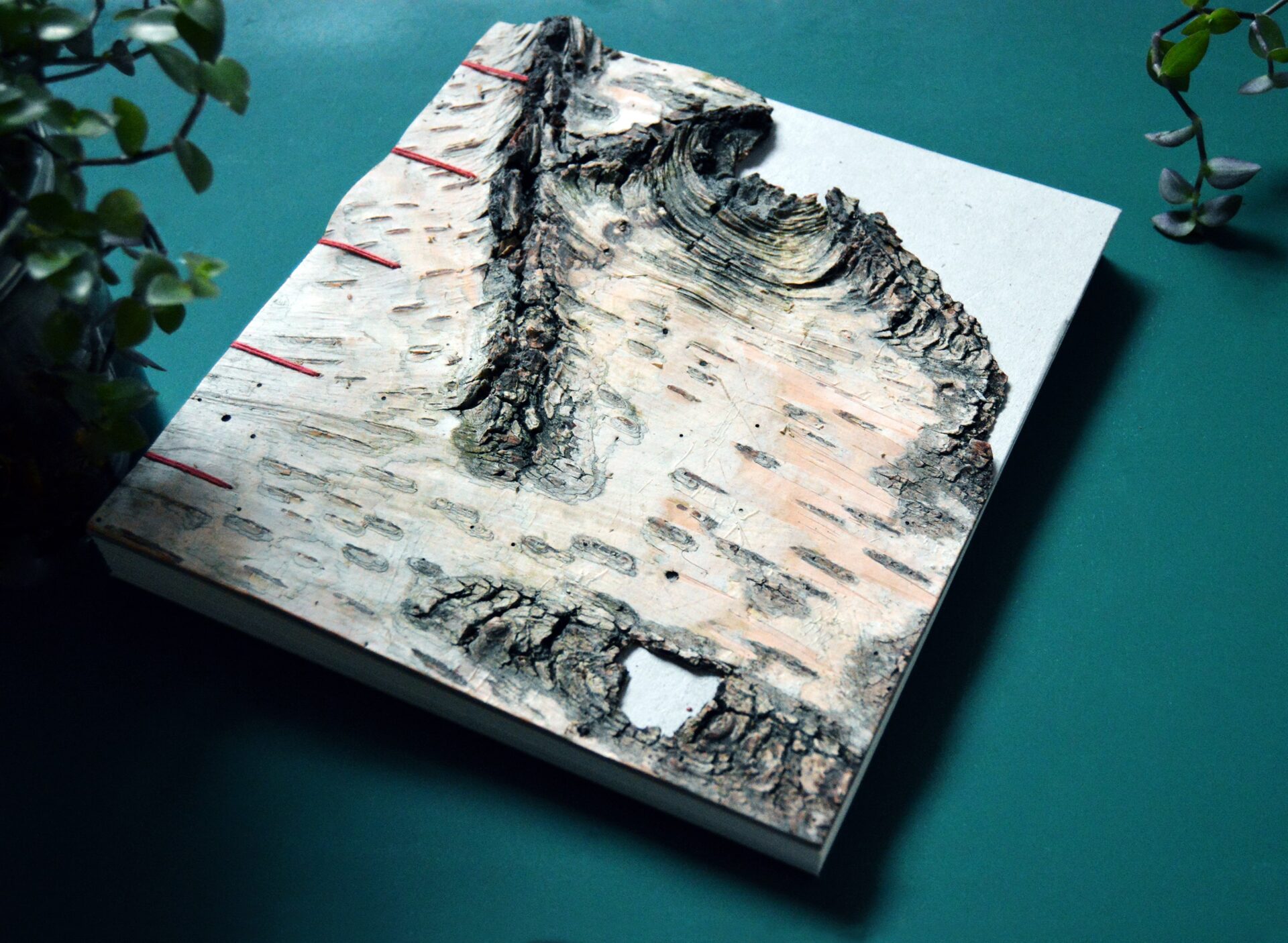 MU:RA | Stanislava Procházková