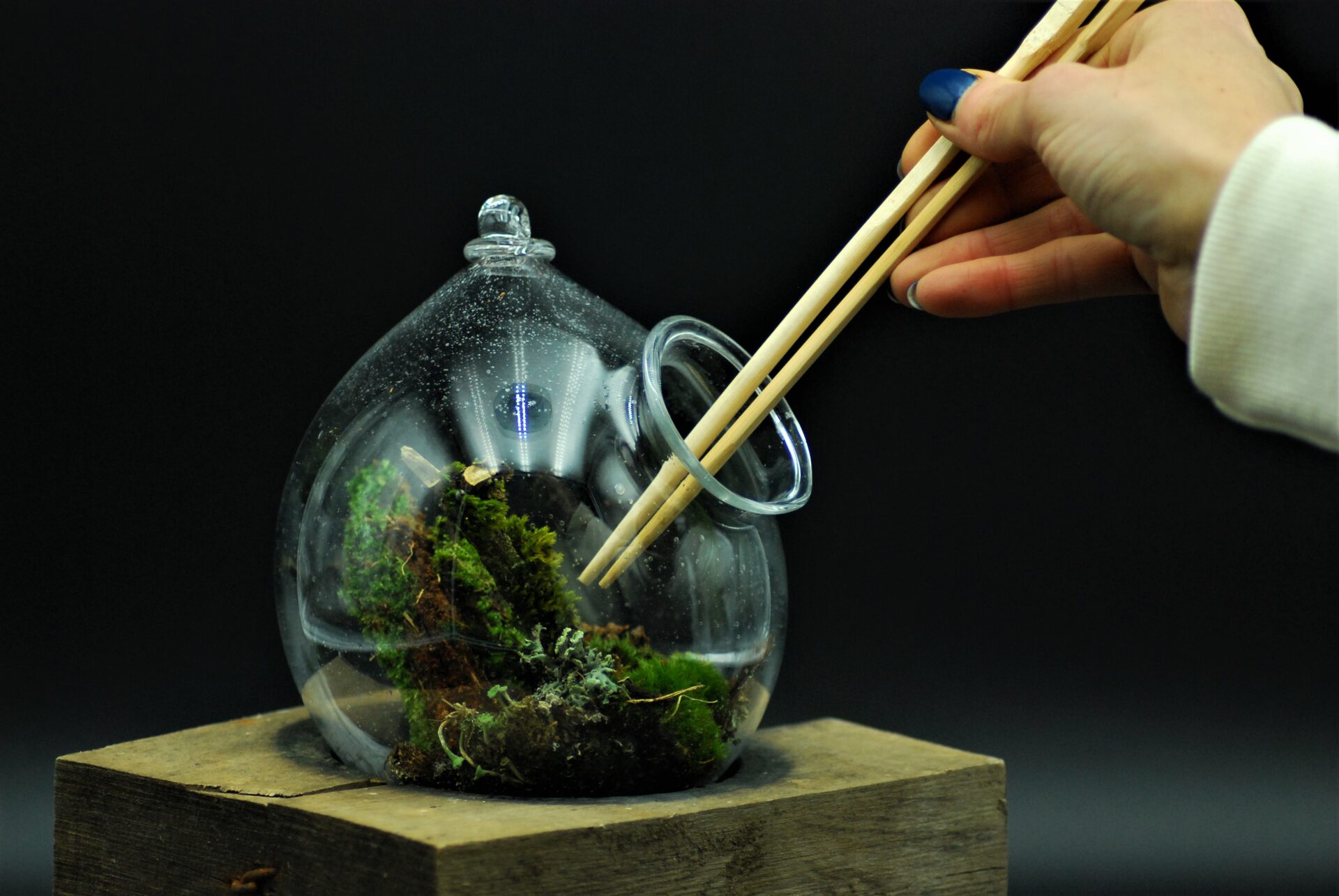 KuncGlass | Zdeněk Kunc