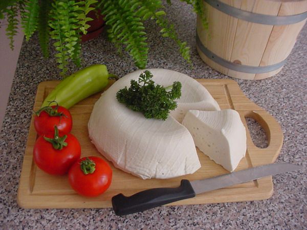 Kozí farma Pěnčín s.r.o.