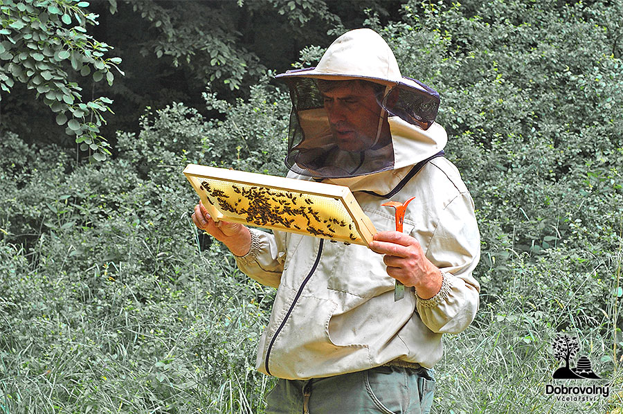Včelařství Dobrovolný