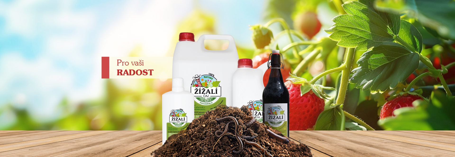 Mesiho žížalí čaj