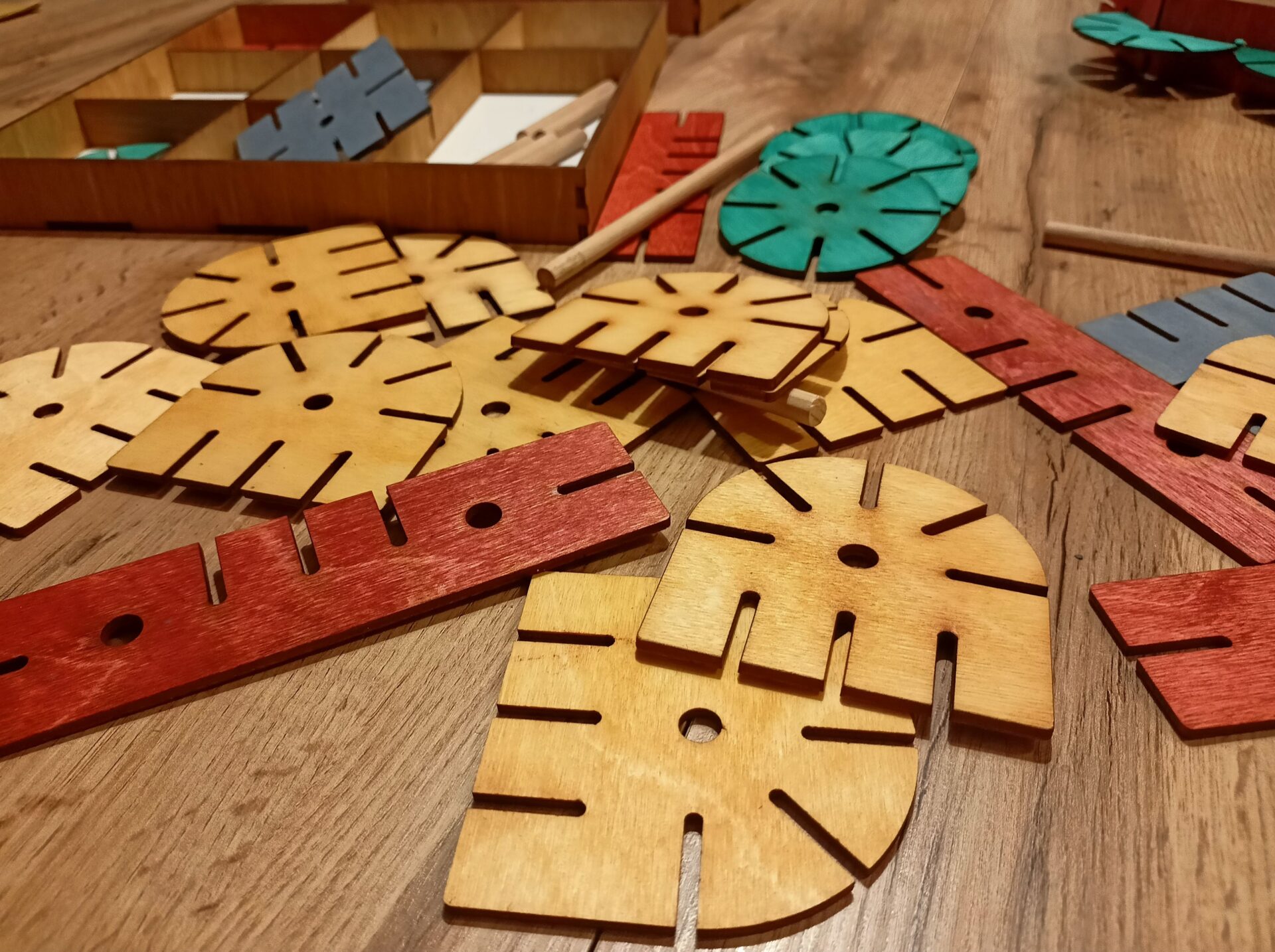 ART OF FRAME Společnost FIFTY+