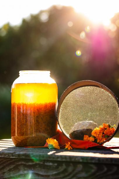 Bylinky z ráje | Ludmila Vondrová