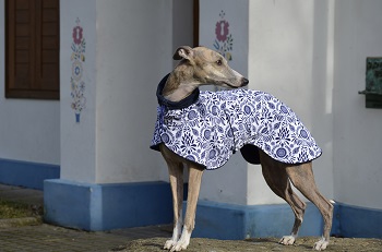 MujChrt.cz | Markéta Aulová