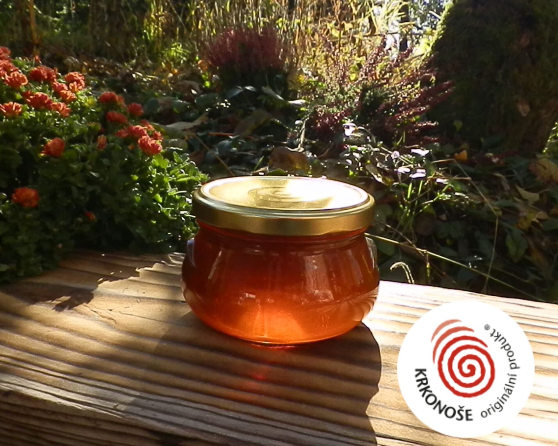 Soňa Anna-Marie Fišerová